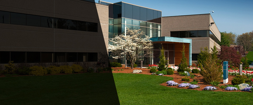 Lugoff Landscapers