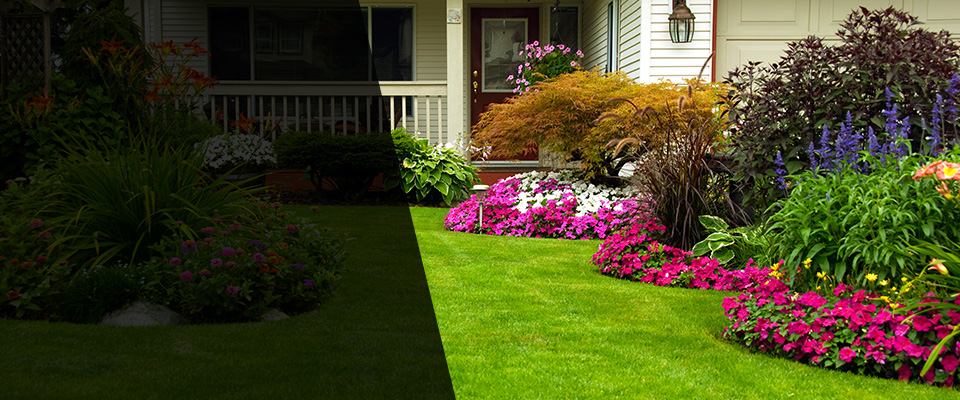 Lugoff Landscapers