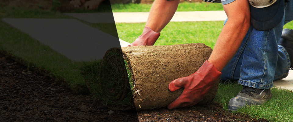 Lugoff Landscapers